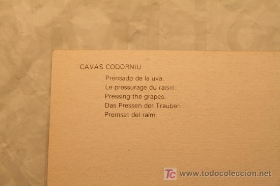 Postales: Postal cavas Codorniu 1976 - Foto 2