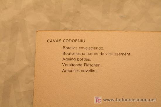 Postales: Postal cavas Codorniu 1976 - Foto 2
