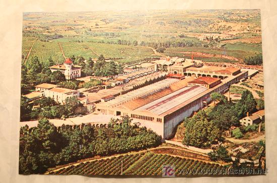 Postales: Postal cavas Codorniu 1976 - Foto 1