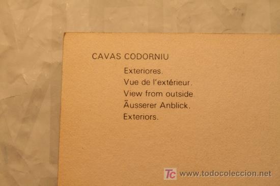 Postales: Postal cavas Codorniu 1976 - Foto 2