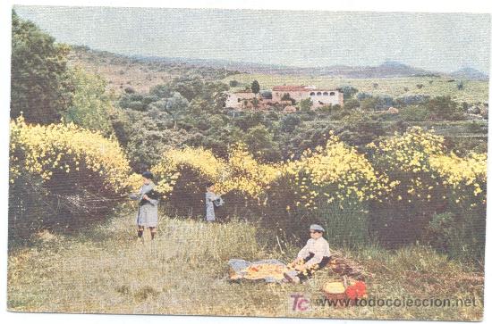 Postales: LA GARRIGA - Foto 1
