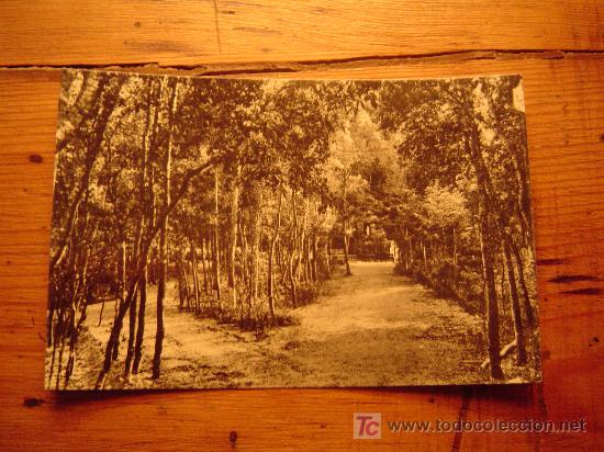 Postales: Postal de Arenys de Munt - Foto 1