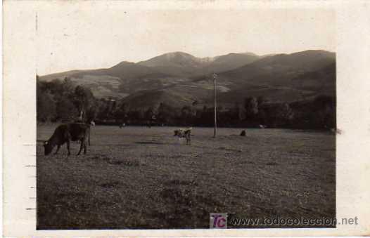 Postales: ALP, PAISAITJE - Foto 1