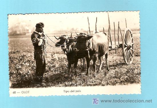 Postales: CURIOSA POSTAL DE OLOT - Foto 1