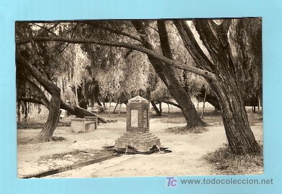 Postales: POSTAL DE BA&Ntilde;OLAS - Foto 1