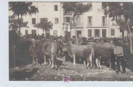 Postales: POSTAL DE OLOT, MERCADO DE GANADO - Foto 1