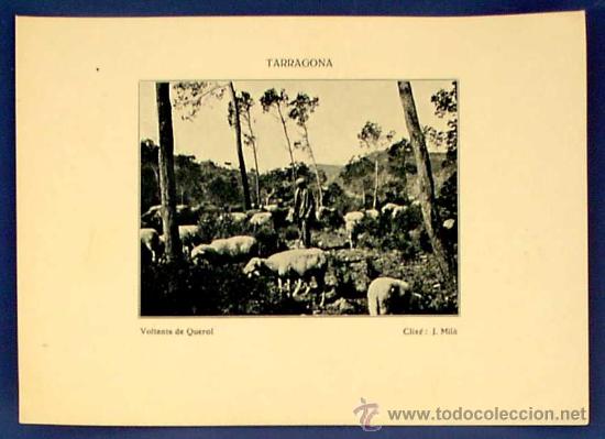 Postales: VOLTANS DE QUEROL. TARRAGONA. CLIX&Eacute; J. MIL&Agrave;. SIN FECHA. - Foto 1