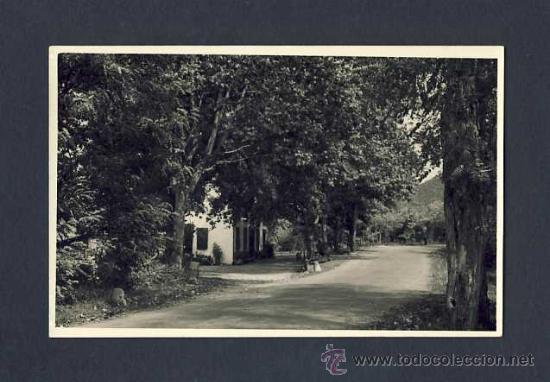 Postales: Postal de SANT SADURNI D' OSORMORT (?):  La Cantina