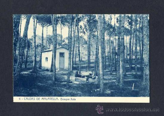 Postales: Postal de CALDES DE MALAVELLA: Bosc Xala (Thomas num.4) - Foto 1