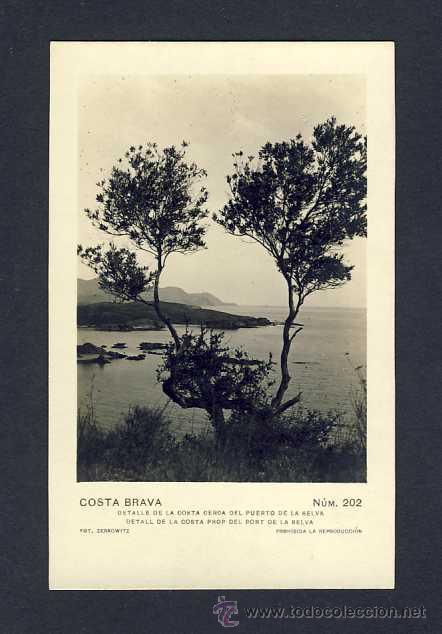 Postales: Postal del PORT DE LA SELVA: Detall de la costa (Fot.,Zerkowitz num.202)
