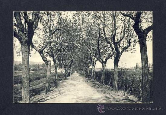 Postales: Postal de SANTA COLOMA DE FARNERS: Passeig de Sant Salvador (Roisin)