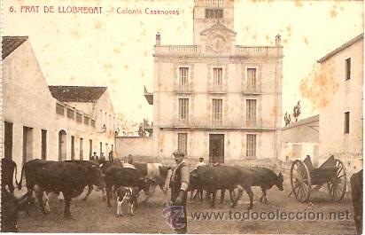 Postcards: POSTAL PRAT DEL LLOBREGAT  COLONIA CASANOVAS
