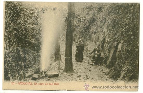 Postales: Arbucias, un cami de can gall - Foto 1