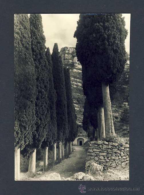 Postales: Postal d' ULLDEMOLINS: Sant Antoni (Fot.Espasa)