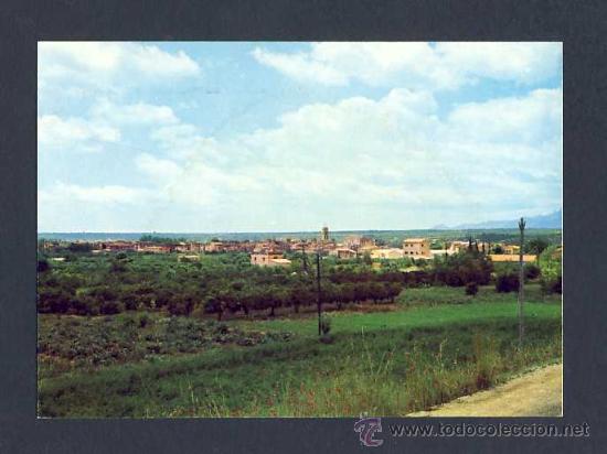 Postales: Foto de XERTA: Vista panoramica (no es postal)