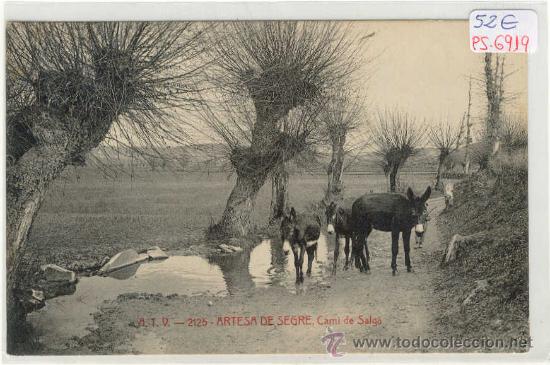 Postkarten: (PS-6919)POSTAL DE ARTESA DE SEGRE(LLEIDA)-CAMI DE SALGA