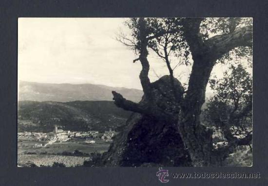 Postales: Postal de DARNIUS: Vista panor&agrave;mica - Foto 1
