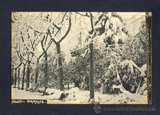 Postales: Postal d OLOT: Parc nevat - Foto 1