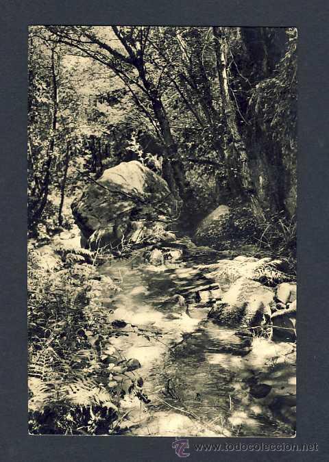 Postales: Postal de RIELLS DEL MONTSENY: Hostal Bell-lloc, cam&iacute; de les cascades (Zerkowitz)