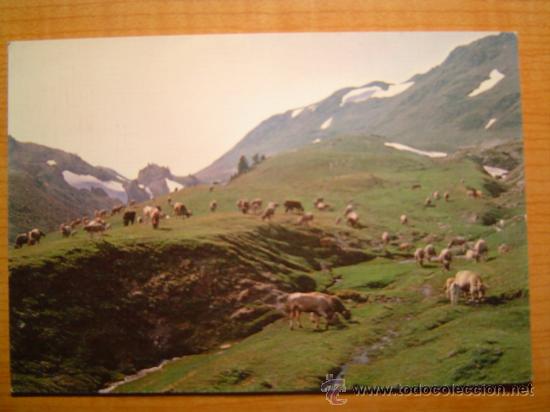 Postales: PIRINEU CATALAN PUERTO DE LA BONAIGUA CIRCULADA