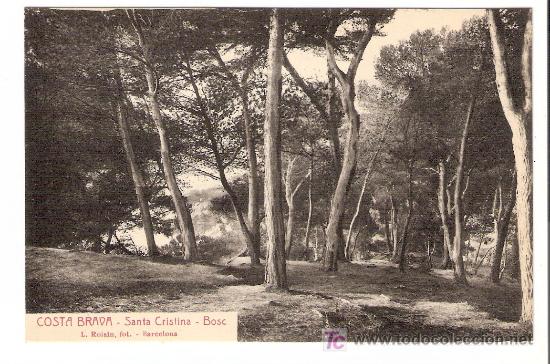 Postais: TARJETA POSTAL DE COSTA BRAVA. SANTA CRISTINA. BOSC. L. ROISIN, FOT.