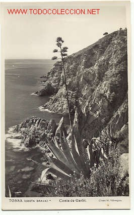 Postales: ANTIGUA POSTAL DE TOSSA DE MAR (GERONA) - Foto 1