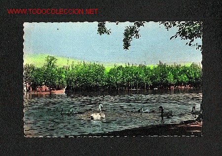 Postales: Postal de PUIGCERDA (Girona); El llac - Foto 1
