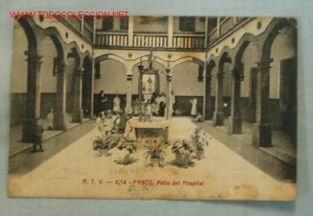 Postales: TARJETA POSTAL ARBOS - Foto 1