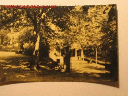 Postales: OLOT  (GIRONA)    FONT DE LA MOXINA - Foto 1