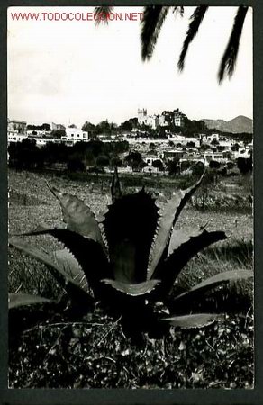 Postales: Cabrils. Ed FAHE. Circulada 1960. - Foto 1