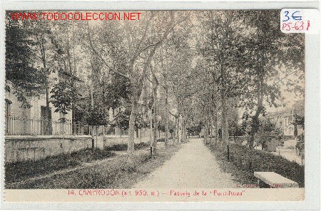 Postales: (PS-631) POSTAL CAMPRODON - Passeig de la Font Nova. - Foto 1