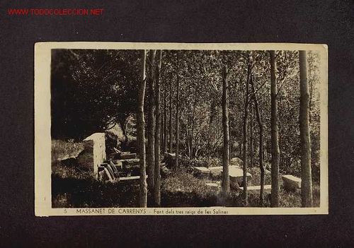 Postales: Postal de MA&Ccedil;ANET DE CABRENYS (Girona): Font dels 3 raigs de Les Salines (num.5)