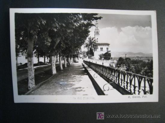 Postales: ARBOS: BALCON DEL PANADES (GASSO). POSTAL - Foto 1