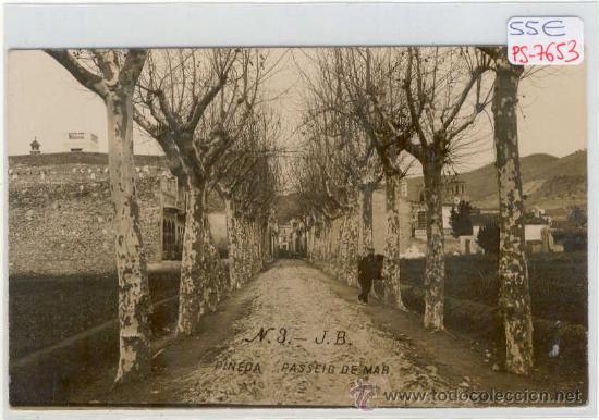 Postkarten: (PS-7653)POSTAL FOTOGRAFICA DE PINEDA-PASSEIG DE MAR