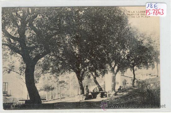 Postcards: (PS-7863)POSTAL DE AIGUAFREDA-LA LLOBETA-PAISATJE DEL CENTRE DE LA PLA&Ccedil;A
