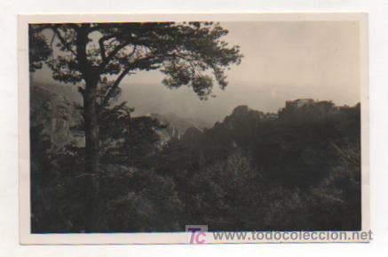 Postales: BERGA. BOSQUE DE QUERALT. (ZERKOWITZ). - Foto 1