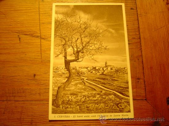 Postales: Buena postal de Cervera --L&eacute;rida - Foto 1