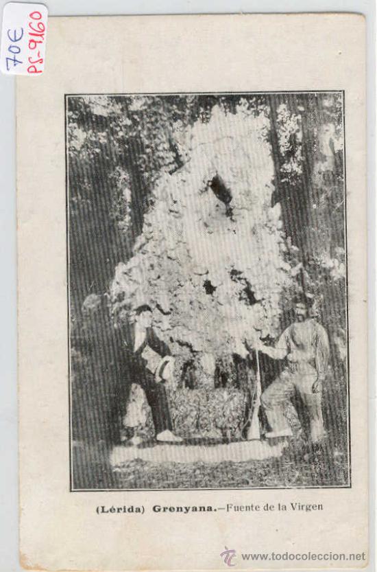 Postcards: (PS-9160)POSTAL DE GRENYANA(LLEIDA)-FUENTE DE LA VIRGEN