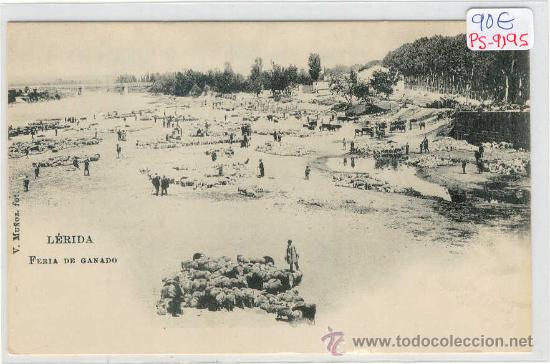 Postkarten: (PS-9195)POSTAL DE LERIDA-FERIA DE GANADO