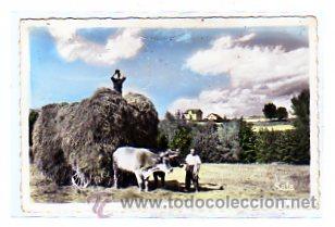 Postales: Lerida. Bellver de Cerda&ntilde;a. n&ordm; 21. Paisaje. J. Sala. Seou de Urgell. Edicion Casa Vila.