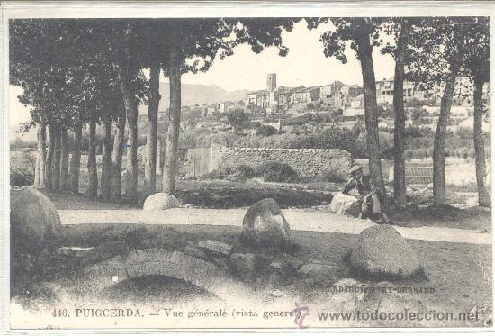 PUIGCERDA VISTA GENERAL 