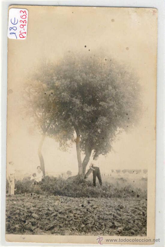 Postkarten: (PS-9303)POSTAL FOTOGRAFICA DE CARDEDEU-ALSINA A&Ntilde;OS 20