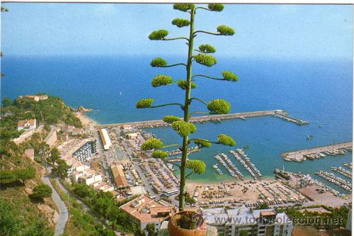 Postales: N&ordm; 863 POSTAL BLANES GERONA - Foto 1