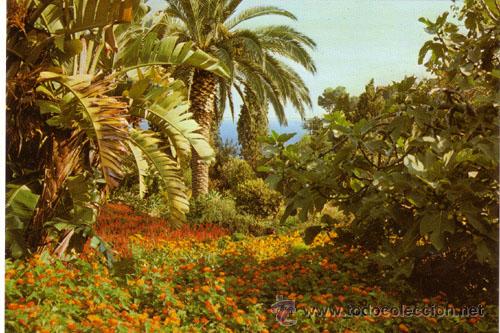 Postales: N&ordm; 9209 POSTAL BLANES - Foto 1