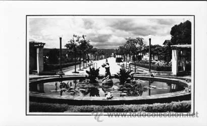 Postales: N&ordm; 1139 POSTAL PALAMOS COSTA BRAVA PASEO GERONA