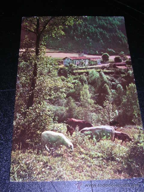 Postales: BASTANIST.-AL FONDO EL CADI,PIRINEOS ORIENTALES CERDA&Ntilde;A-FOTG. A.CAMPA&Ntilde;A,CIRCULADA.15X10 CM.