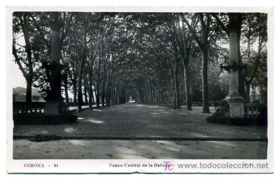 Postales: GERONA, PASEO CENTRAL DE LA DEHESA,        P25124 - Foto 1
