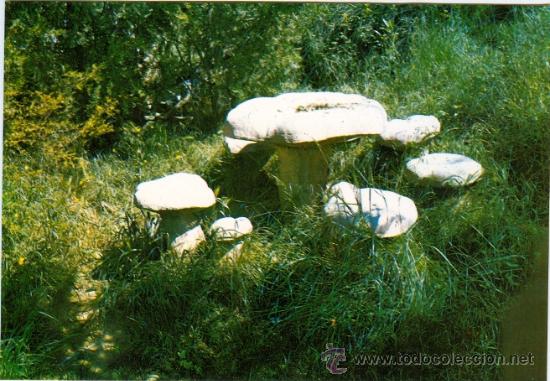 Postales: SOLSONA * PARQUE DE LA MARE DE LA FONT * 1967 - Foto 1