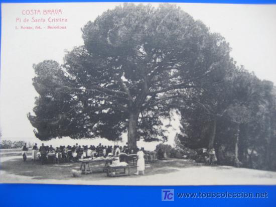 Postales: Costa Brava. Pi de Santa Cristina. L.Roisin. Postal sin circular