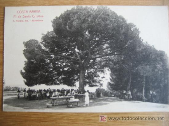Postales: Costa Brava. Pi de Santa Cristina. L. Roisin. Postal sin circular